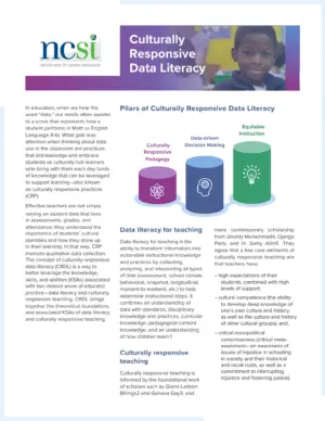Image for NCSI's Culturally Responsive Data Literacy cover